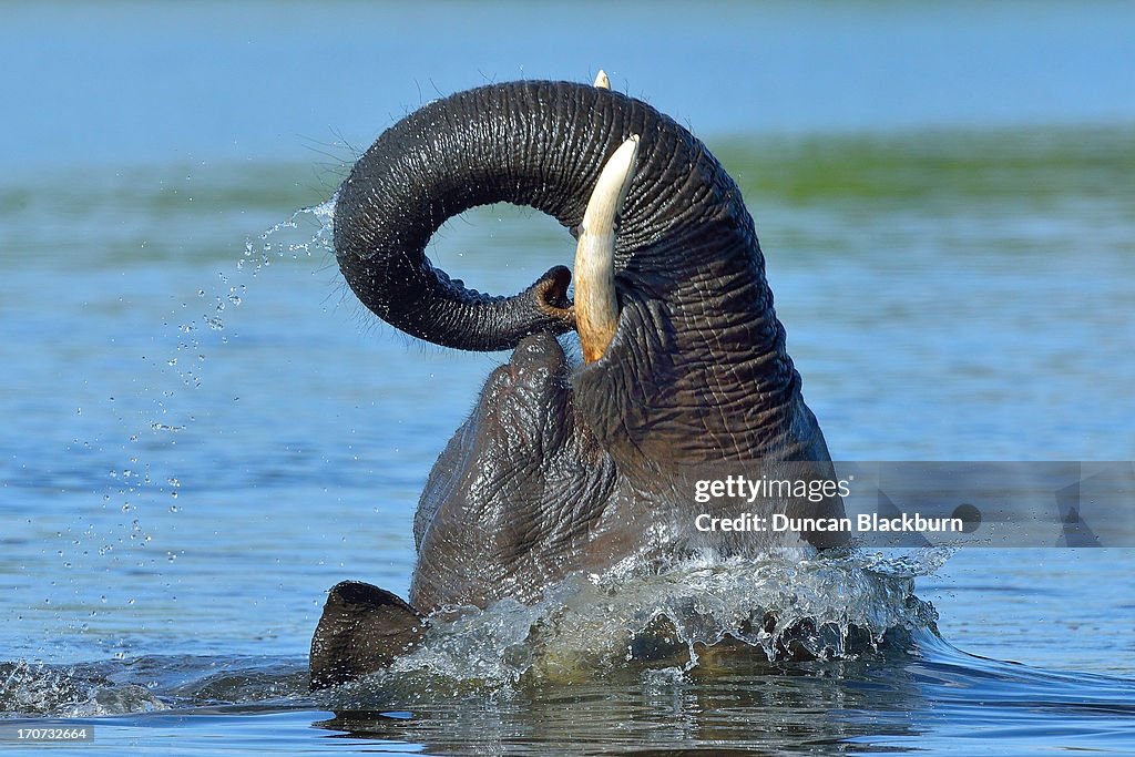 Cooling off