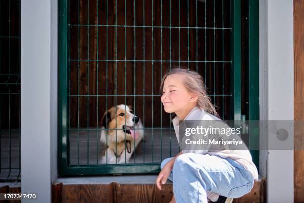 a girl and her chosen dog at a dog shelter. - animal shelter stock pictures, royalty-free photos & images