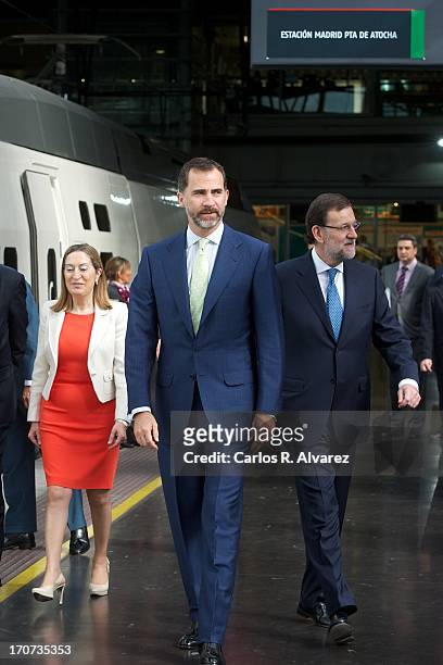 Prince Felipe of Spain and Spanish Prime Minister Mariano Rajoy attend the official inauguration of the new Alta Velocidad Espanola high speed Madrid...