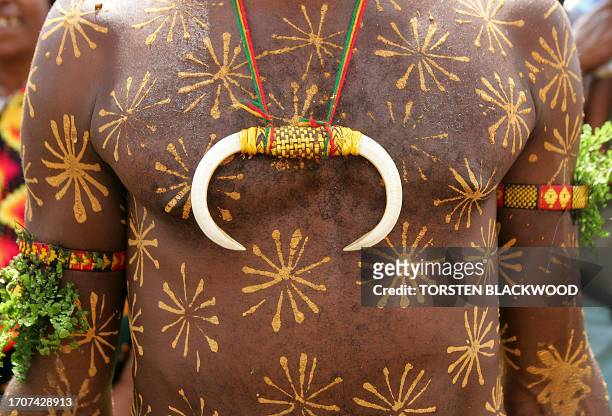 Kuru Kumul Sawa dancer displays the traditional boar tusks on his chest during the Goroka singsing in the Southern Highlands, 16 September 2005. Over...
