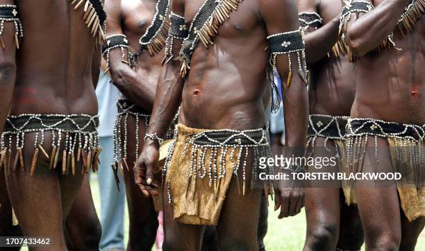 Rofiwa warriors from Sialum wear tapa groin cloths during the 50th Goroka singsing in what is believed to be the largest gathering of indigenous...