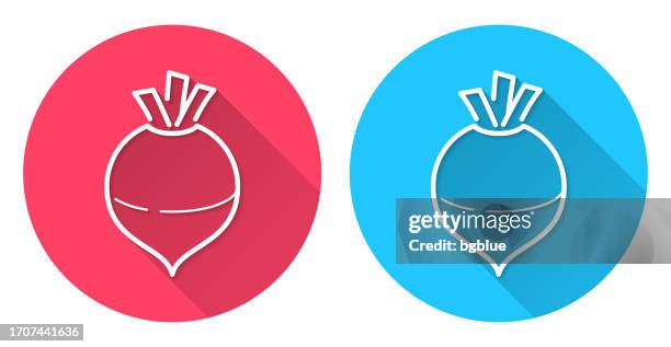 rutabaga. round icon with long shadow on red or blue background - rutabaga 幅插畫檔、美工圖案、卡通及圖標