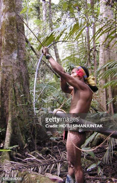 Mentawaian aims a prey with archer in the jungle of Mentawai island, West Sumatra 27 June 2002. Mentawaians live in Mentawai islands, located some...