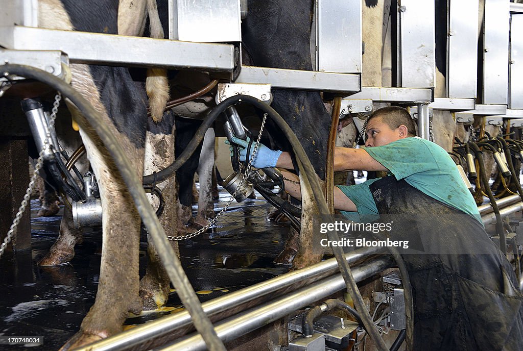 Operations At J.M. Larson Dairy As Congress Debates New Farm Bill