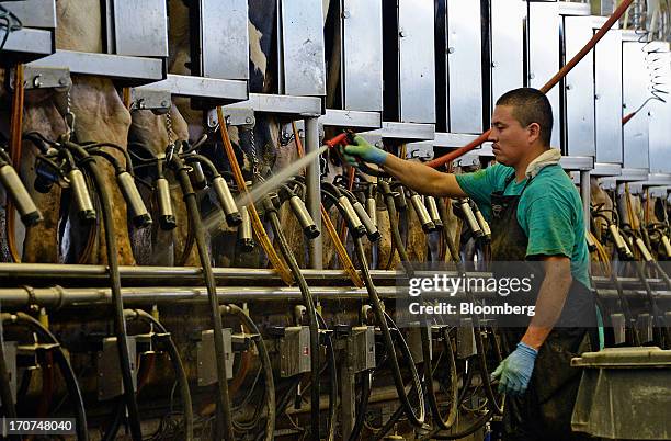 Dairy worker Jorge Lopez washes down the milking parlor at J.M. Larson Dairy 3 in Okeechobee, Florida, U.S., on Friday, June 14, 2013. The U.S. House...