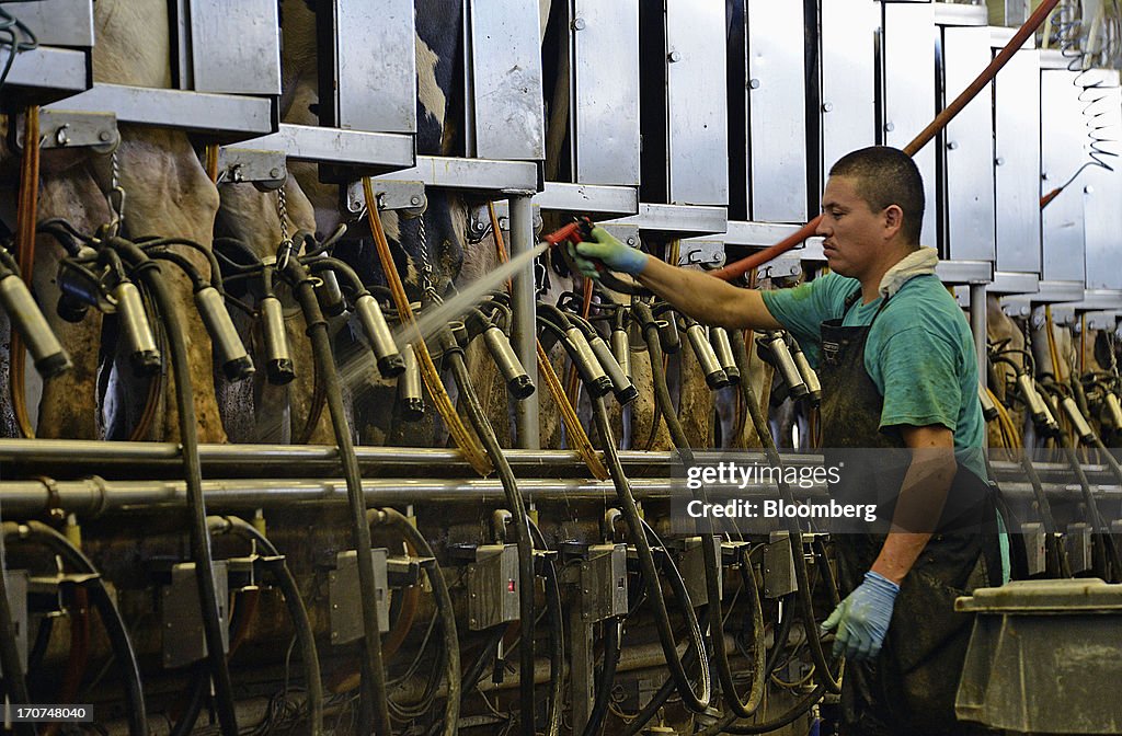 Operations At J.M. Larson Dairy As Congress Debates New Farm Bill