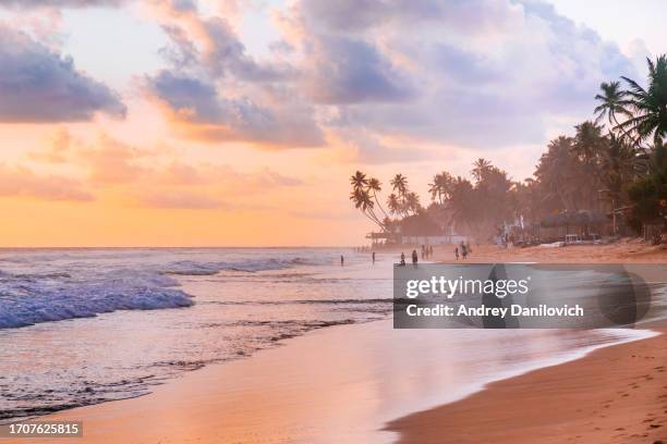 sunset on a sandy beach with palm trees and people in hikkaduwa. - sri lanka landscape stock pictures, royalty-free photos & images