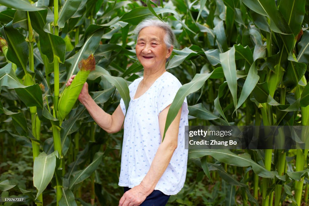 Senior Asian farmer in countryside