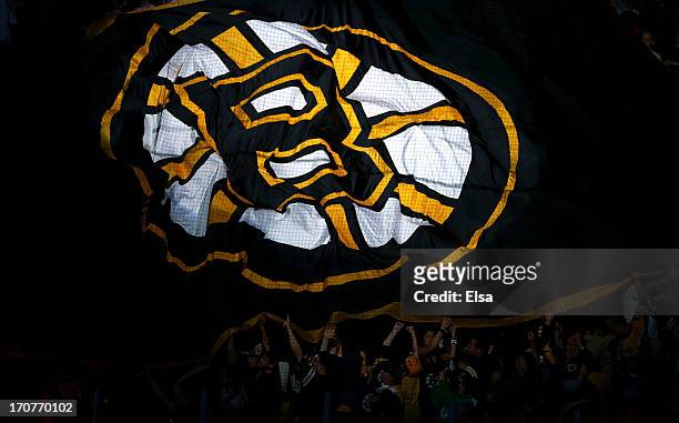 Boston Bruins flag is passed over the crowd during introductions for Game Three of the 2013 NHL Stanley Cup Final between the Chicago Blackhawks and...