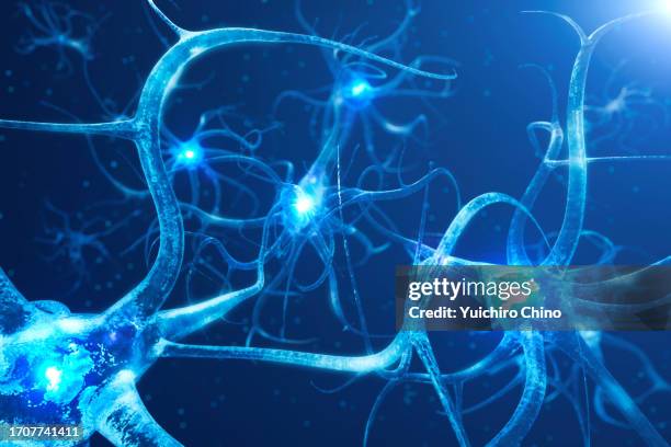 neuron - neurone photos et images de collection