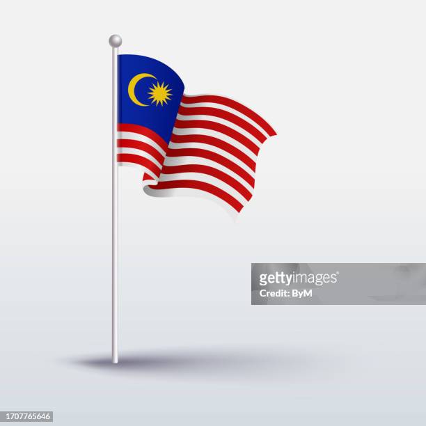 ilustrações de stock, clip art, desenhos animados e ícones de waving flag of malaysia - white flag