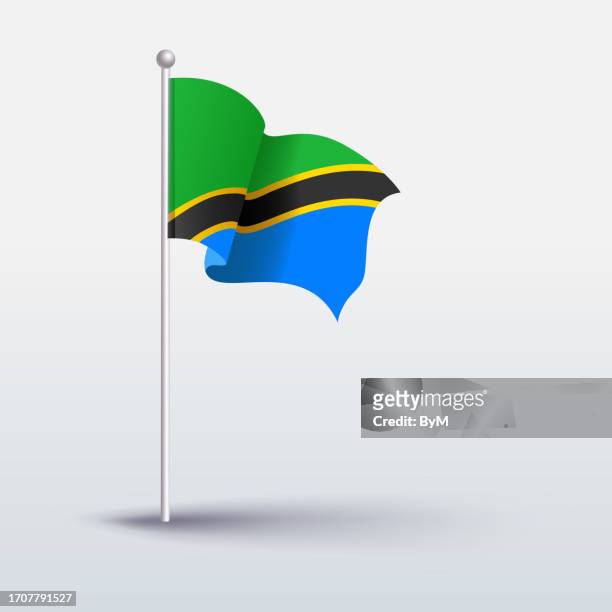ilustrações de stock, clip art, desenhos animados e ícones de waving flag of tanzania - white flag