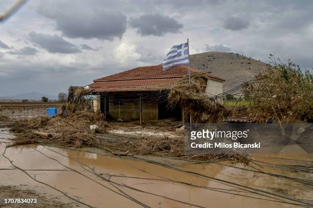 View of corn field which had disappeared beneath floodwaters as impact of storm Daniel on September 26, 2023 in Vlochos, Trikala region, Greece....