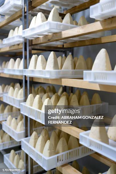 estanterías llenas de quesos artesanos mientras se cura - queso español fotografías e imágenes de stock