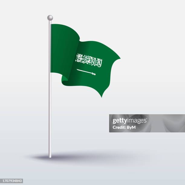 stockillustraties, clipart, cartoons en iconen met waving flag of saudi arabia - saudi arabian flag