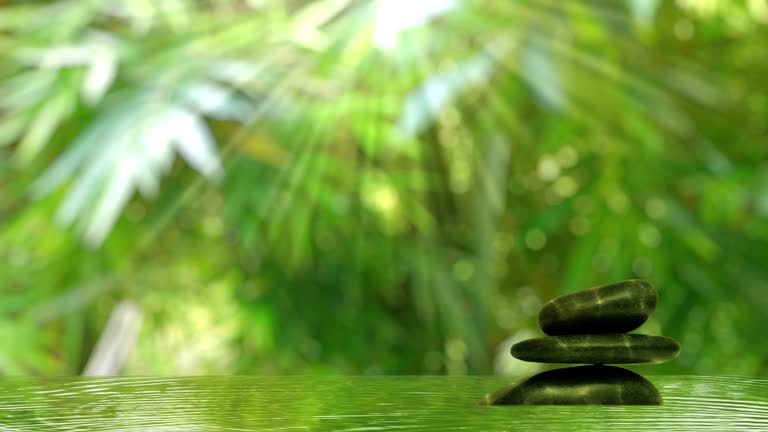 https://media.gettyimages.com/id/1707957627/video/fresh-green-nature-spa-background-with-flowing-water-around-meditation-stones-blurred-bamboo.jpg?b=1&s=640x640&k=20&c=tH37_OdseFSioLJ8sDTXze53tp1ExRyjmQjrcFiDCAY=