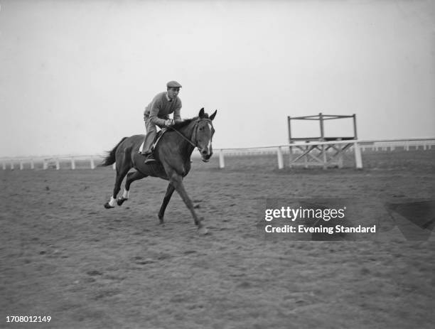 Irish thoroughbred racehorse Mr What who finished third in the Grand National horse race at Aintree Racecourse, Liverpool, March 21st 1959.