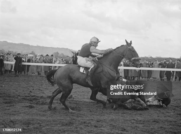 Racehorse Pas Seul, ridden by Bill Rees, falls into the path of Linwell in the Cheltenham Gold Cup, March 11th 1959. The race was won by Roddy Owen.
