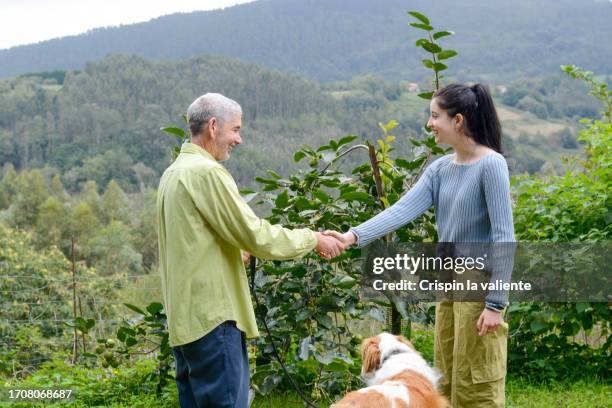 it's great to see you again! - animal waving stock pictures, royalty-free photos & images