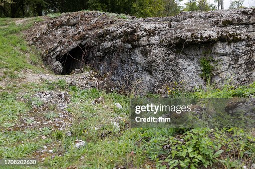 Battle of Verdun: Entrance to an old bomb shelter on the battlefield (Verdun/ France)