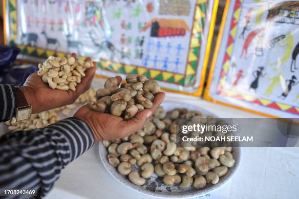 An Indian man holds up red cashew on display during the inauguration of 'Tribal Art Theatre' in Hyderabad on August 25, 2011. Cashews are commonly...