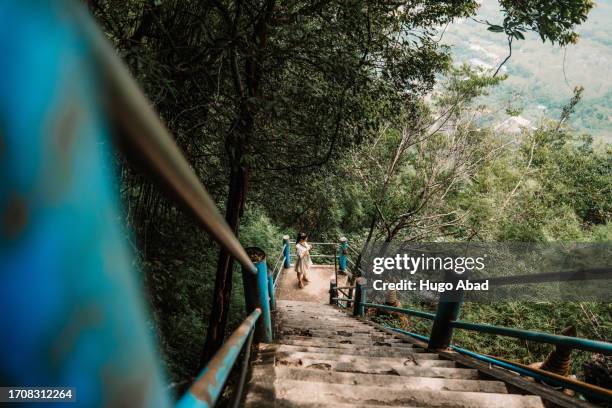 stairs of the wat tham seua krabi temple - highland cat stock pictures, royalty-free photos & images