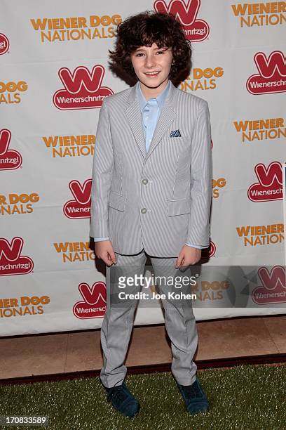 Actor Julian Feder attends the Wiener Dog Nationals"Green Grass-Carpet" Film Premiere at Pacific Theatre at The Grove on June 18, 2013 in Los...