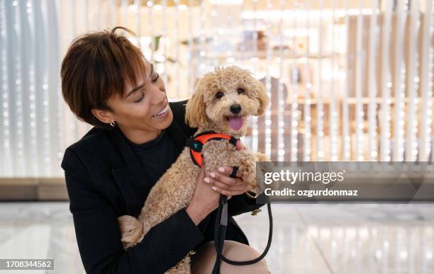 mature woman posing with her toy poddle dog in a large shopping mall, new york city, usa - toy poodle stock pictures, royalty-free photos & images