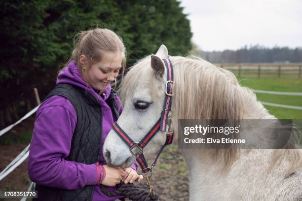 white pony nuzzling the hands of a smiling teenage girl in an outdoor paddock on an overcast day in summertime. - long leash stock pictures, royalty-free photos & images