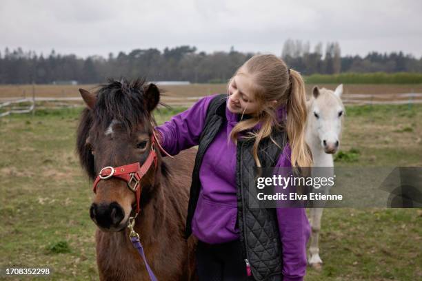 happy teenage girl petting a brown pony wearing a red headcollar in an outdoor paddock with a white pony in the background. - long leash stock pictures, royalty-free photos & images