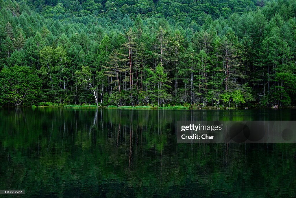 Mishaga Pond of serenity