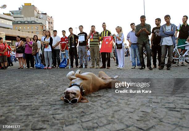 Atajurt Protest 111 Mustafa Kemal Cultural Center Stock Photos, High-Res Pictures, and ...