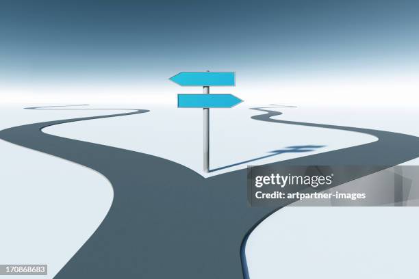 a road forks at two empty road signs - calle bifurcada fotografías e imágenes de stock