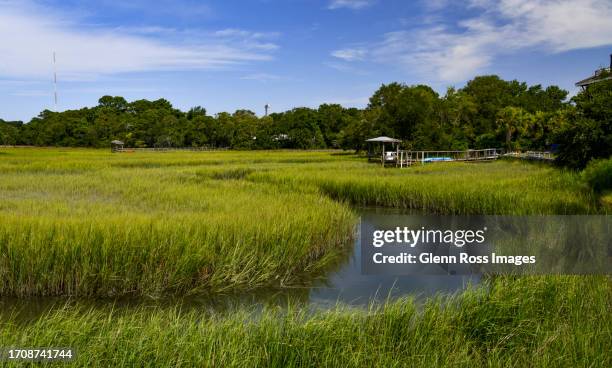 shem creek estuary - tidal marsh stock pictures, royalty-free photos & images