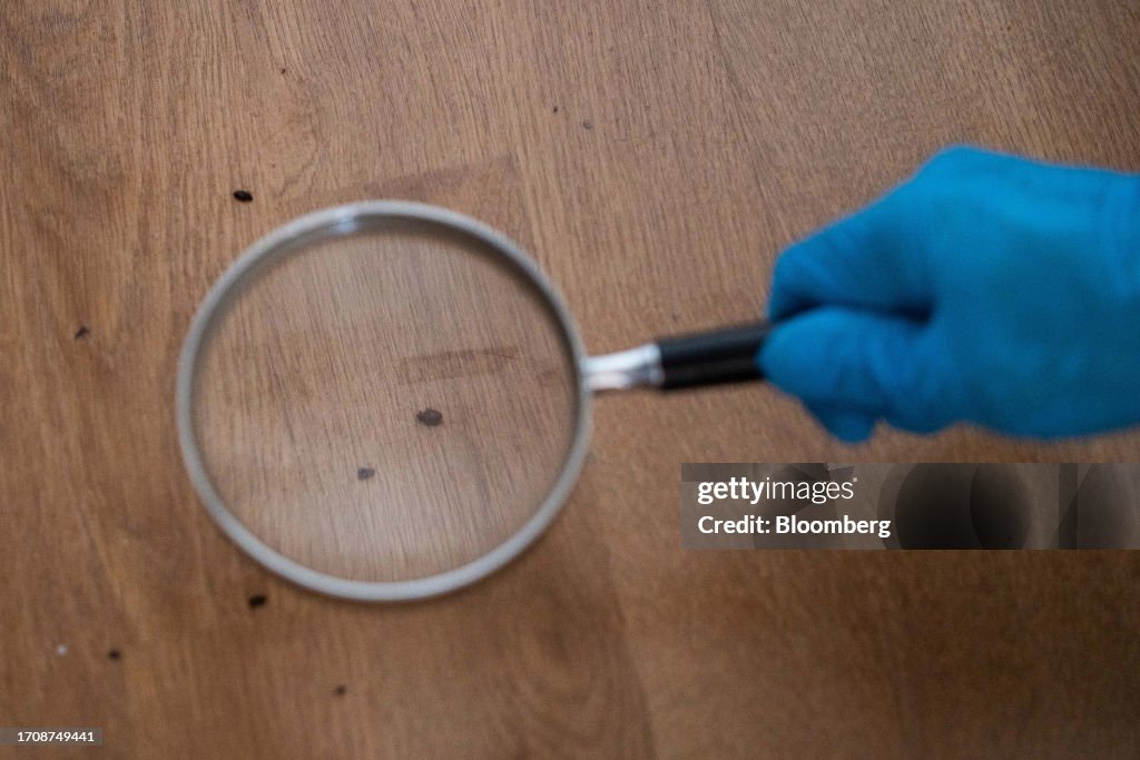 Pest Control Operation as Bedbugs Become a Big Headache Ahead of Olympics