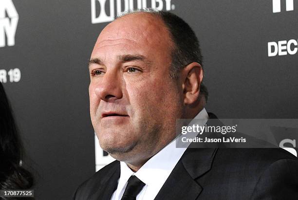 Actor James Gandolfini attends the premiere of "Zero Dark Thirty" at the Dolby Theatre on December 10, 2012 in Hollywood, California.