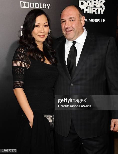 Actor James Gandolfini and wife Deborah Lin attend the premiere of "Zero Dark Thirty" at the Dolby Theatre on December 10, 2012 in Hollywood,...