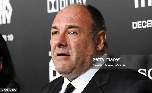 Actor James Gandolfini attends the premiere of "Zero Dark Thirty" at the Dolby Theatre on December 10, 2012 in Hollywood, California.
