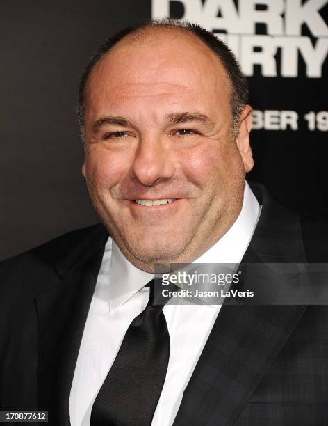 Actor James Gandolfini attends the premiere of "Zero Dark Thirty" at the Dolby Theatre on December 10, 2012 in Hollywood, California.