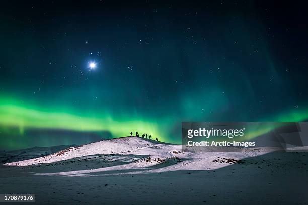 aurora borealis or northern lights, iceland - istäcke bildbanksfoton och bilder
