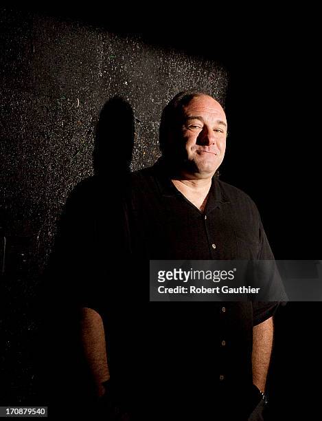 Actor James Gandolfini is photographed for Los Angeles Times on November 30, 2012 in Hollywood, California. PUBLISHED IMAGE. CREDIT MUST READ: Robert...