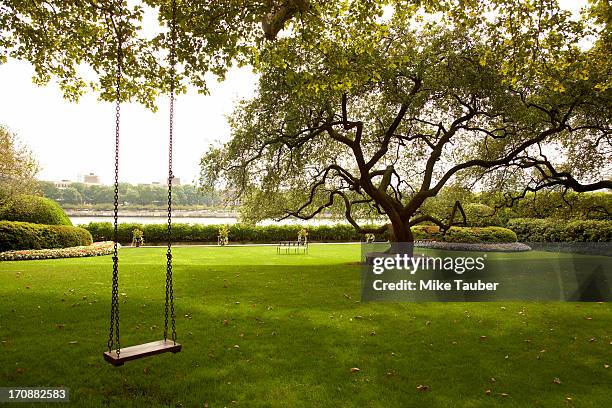 tree swing in urban park - rope swing stock pictures, royalty-free photos & images