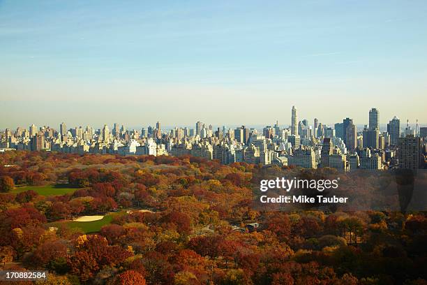 urban park and skyscrapers, new york, new york, united states - autumn in new york foto e immagini stock