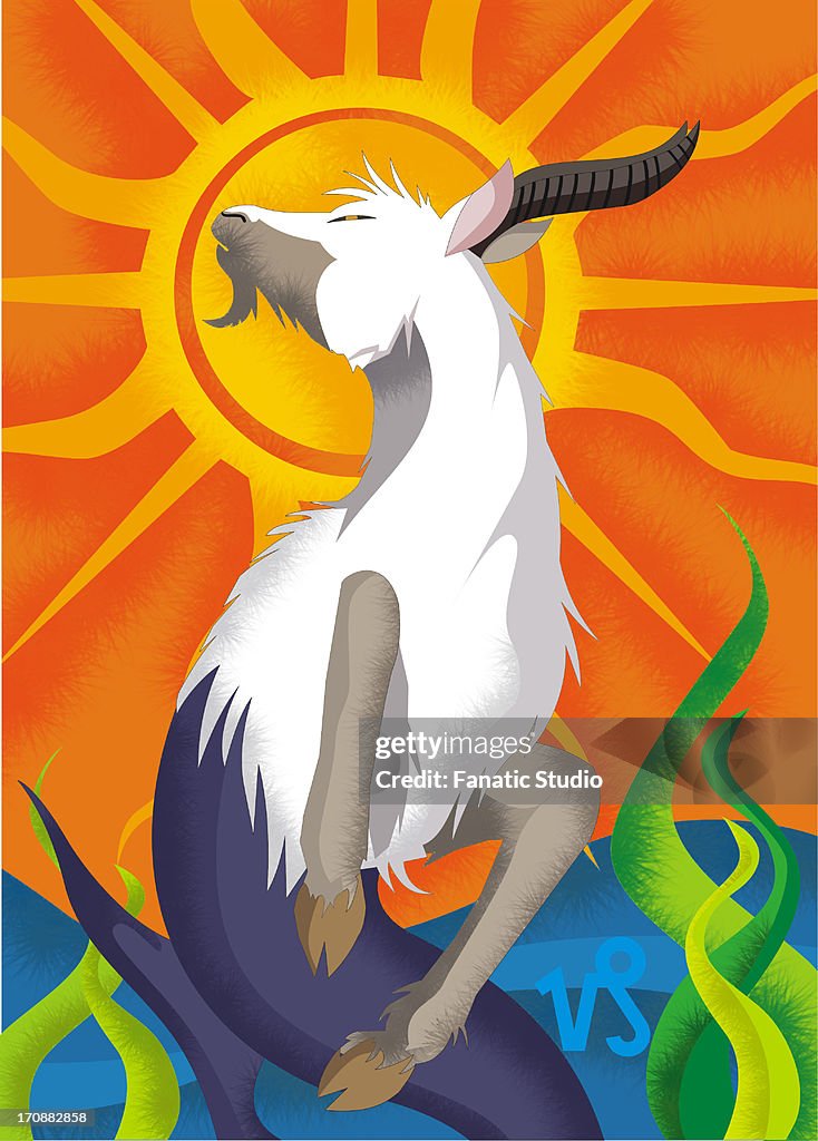 Capricorn zodiac sign