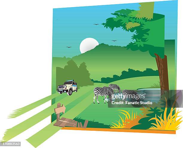 ilustrações de stock, clip art, desenhos animados e ícones de zebras with a jeep in a forest - grupo médio de animais