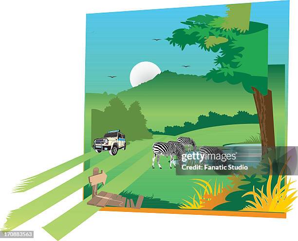 zebras with a jeep in a forest - jeep tour stock illustrations