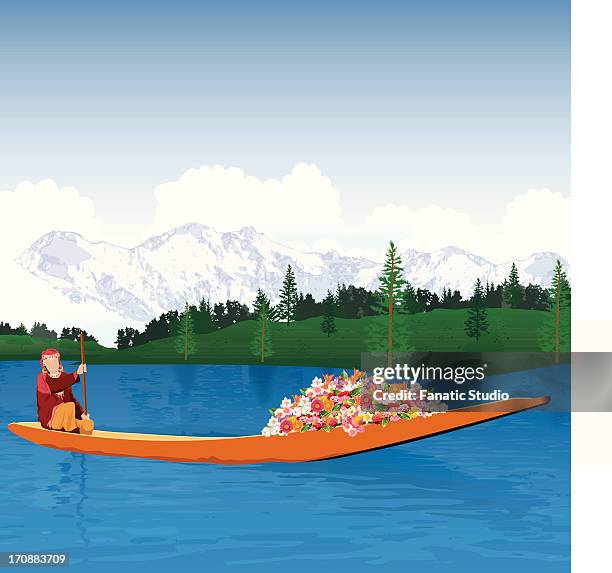 kashmiri woman in a boat, jammu and kashmir, india - kashmir landscape stock illustrations