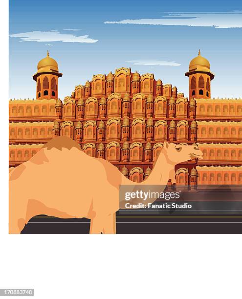 camel standing in front of palace, hawa mahal, jaipur, rajasthan, india - hawa mahal jaipur india stock illustrations