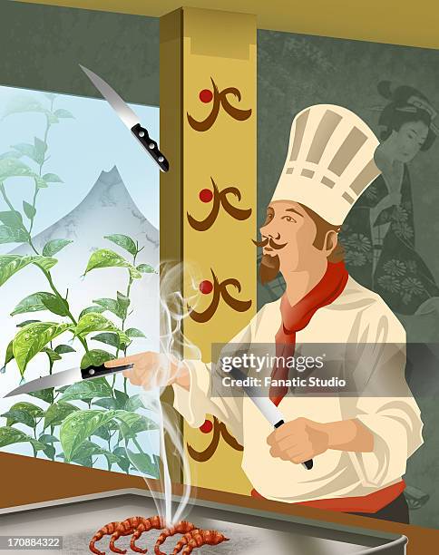 chef preparing food in a commercial kitchen - teppanyaki stock illustrations