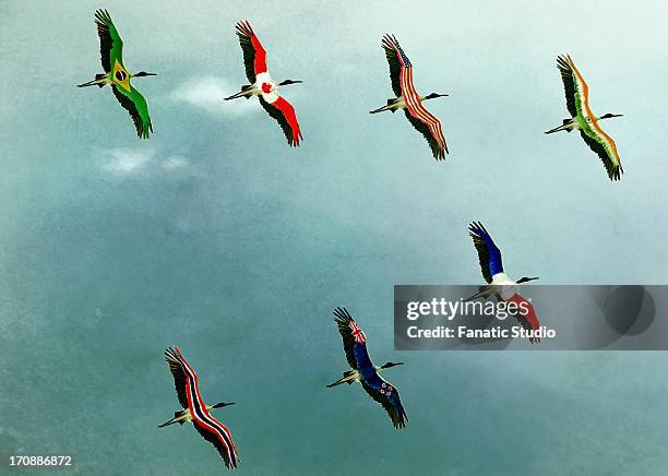 stockillustraties, clipart, cartoons en iconen met illustrative image of birds flying in sky representing global business - tandem positie